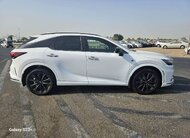 LEXUS RX 500 HYBRID 2023