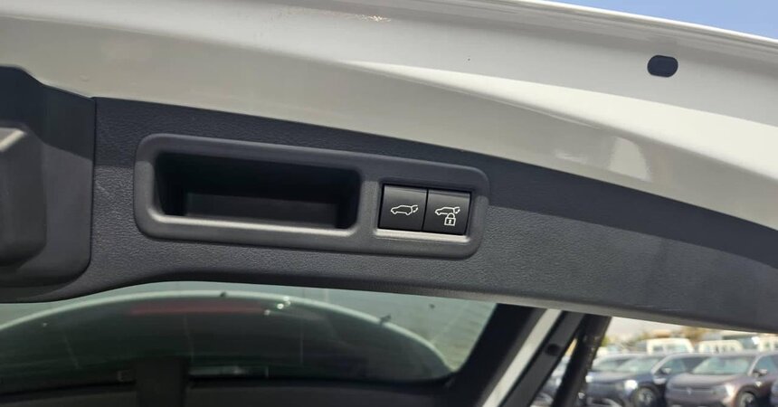 LEXUS RX 500 HYBRID 2023