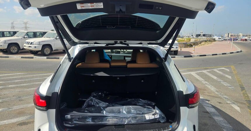 LEXUS RX 350 2.4L PETROL LUXURY, 2024