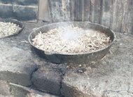 Компания DEALS является спонсором приюта бездомных животных