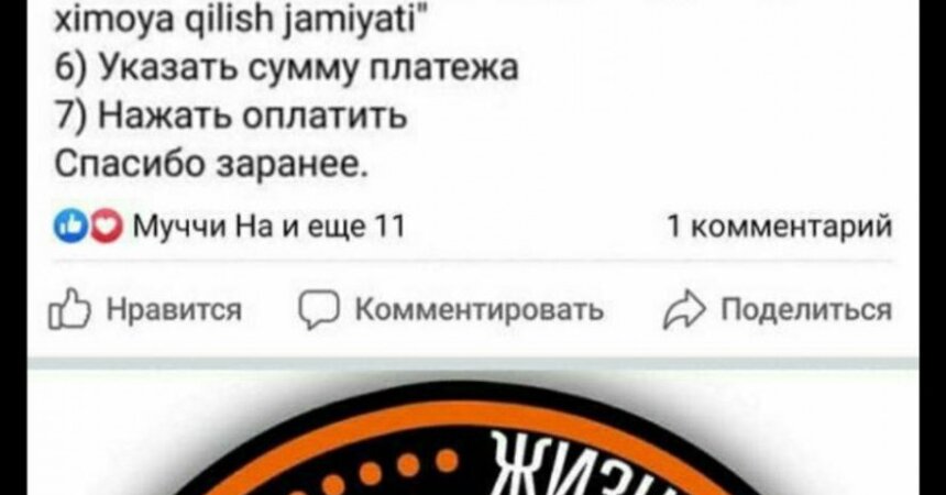 Компания DEALS является  спонсором приюта бездомных животных