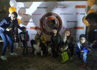 Компания DEALS является спонсором приюта бездомных животных
