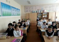 Компания DEALS является спонсором приюта бездомных животных