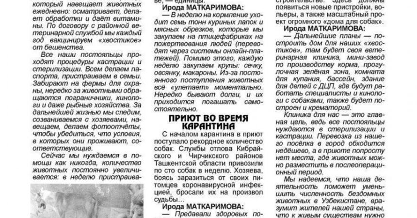 Компания DEALS является  спонсором приюта бездомных животных