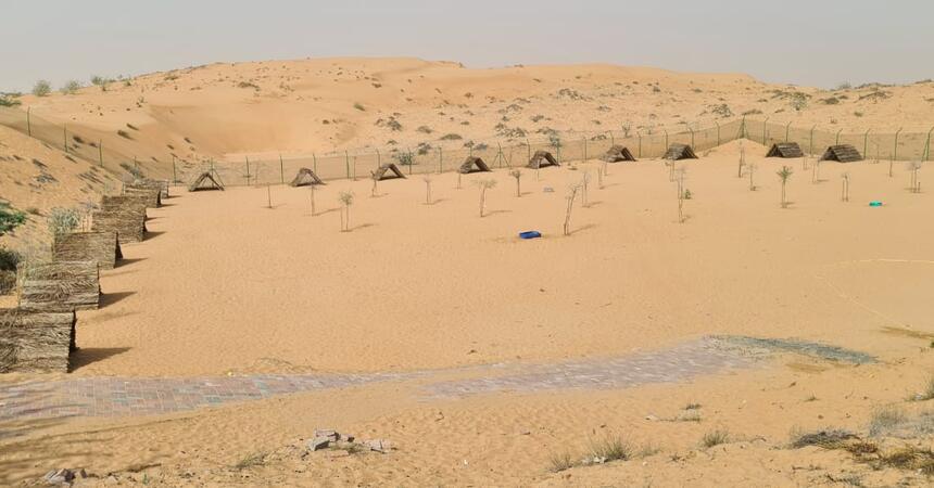 DEALS4WHEELS  is a sponsor of the STRAY DOG CENTER shelter in  UMM AL QUAWAIN UAE