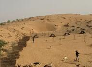 DEALS4WHEELS  is a sponsor of the STRAY DOG CENTER shelter in  UMM AL QUAWAIN UAE
